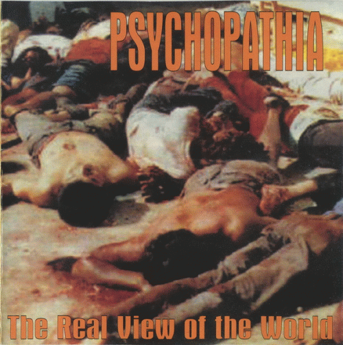 The Real View of the World